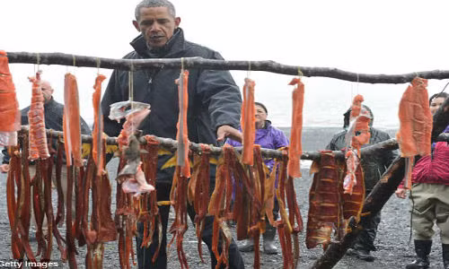 Tổng thống Obama nhìn những chú cá hồi được phơi khô trên bờ biển Kanakanak, Dillingham ngày 2/9.