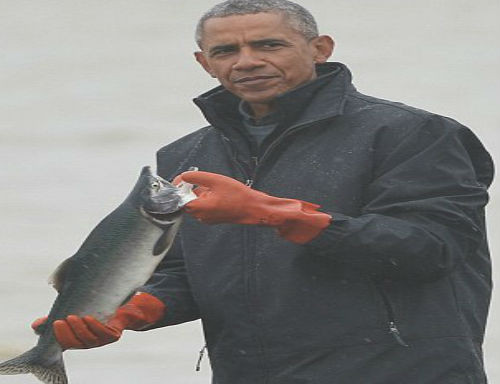 Ông Obama cầm một con cá hồi trên tay.