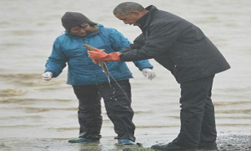 Nhà lãnh đạo Mỹ gặp các ngư dân địa phương và gia đình của họ trên bờ biển Kanakanak ở Dillingham, Alaska.