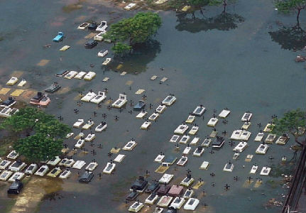 Một khu nghĩa trang ở Chennai ngập trong nước.