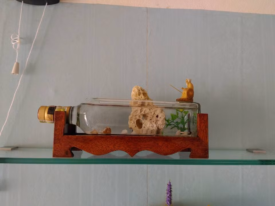 Hay đặt trên giá sách ở phòng khách, phòng học, bàn làm việc...