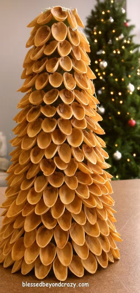 Cách làm vô cùng đơn giản, chỉ cần cắt sử dụng súng bắn keo gắn lần lượt vỏ hạt dẻ cười đã rửa sạch theo khối xốp có sẵn bạn sẽ có cây thông trang trí nhà cho mùa giáng sinh. Ảnh: Anna {Blessed Beyond Crazy}.