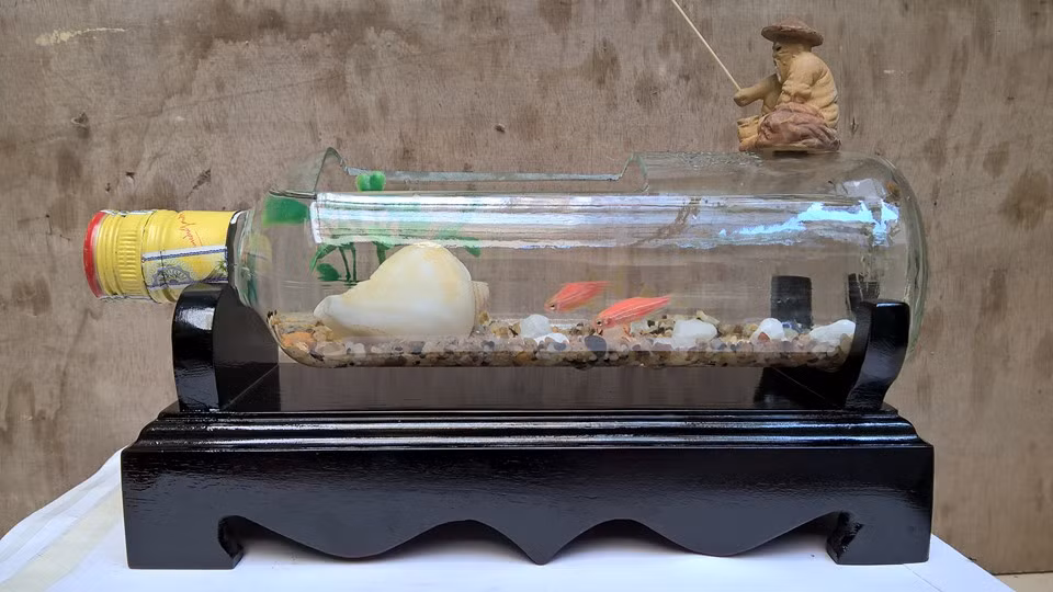 Do mới mẻ và độc đáo nên nhiều khách hàng đang khá thích thú với sản phầm trang trí này. Ảnh: FB Bể cá mini độc và đẹp.