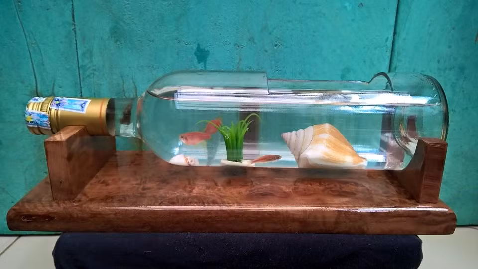 Còn phần khung gỗ tạo cảm giác rất mượt tay, sơn gỗ trang nhã, sang trọng.