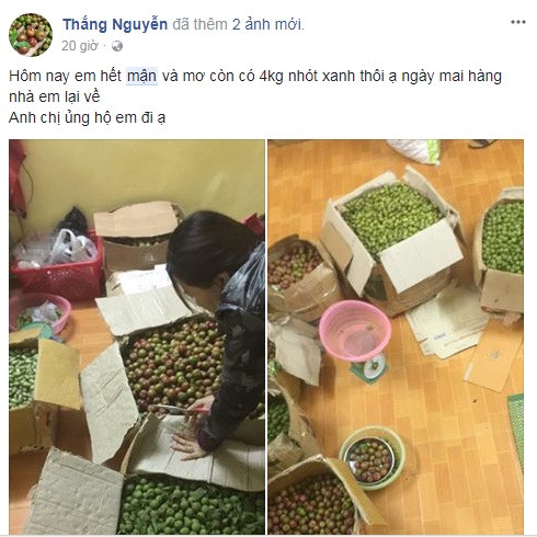 Ảnh chụp màn hình: FB Thắng Nguyễn.