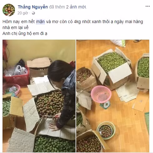 Ảnh chụp màn hình: FB Thắng Nguyễn.