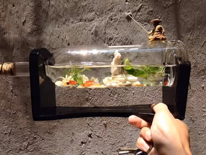 Kích thước của bể cá gọn nhẹ, có thể để trên 1 góc bàn trong nhà...