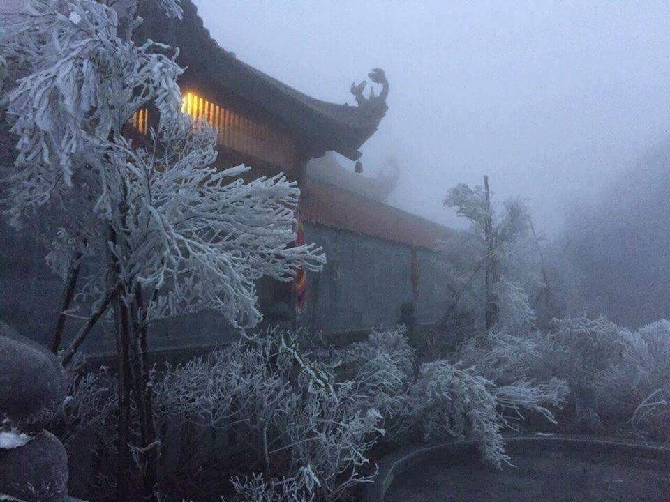 Ngo ngang bang gia xuat hien o Lao Cai-Hinh-2