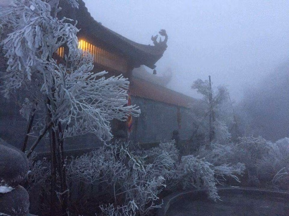 Ngo ngang bang gia xuat hien o Lao Cai-Hinh-2