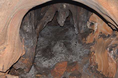 Bi an hang dong vui xac ngan nguoi o Thai Nguyen-Hinh-2