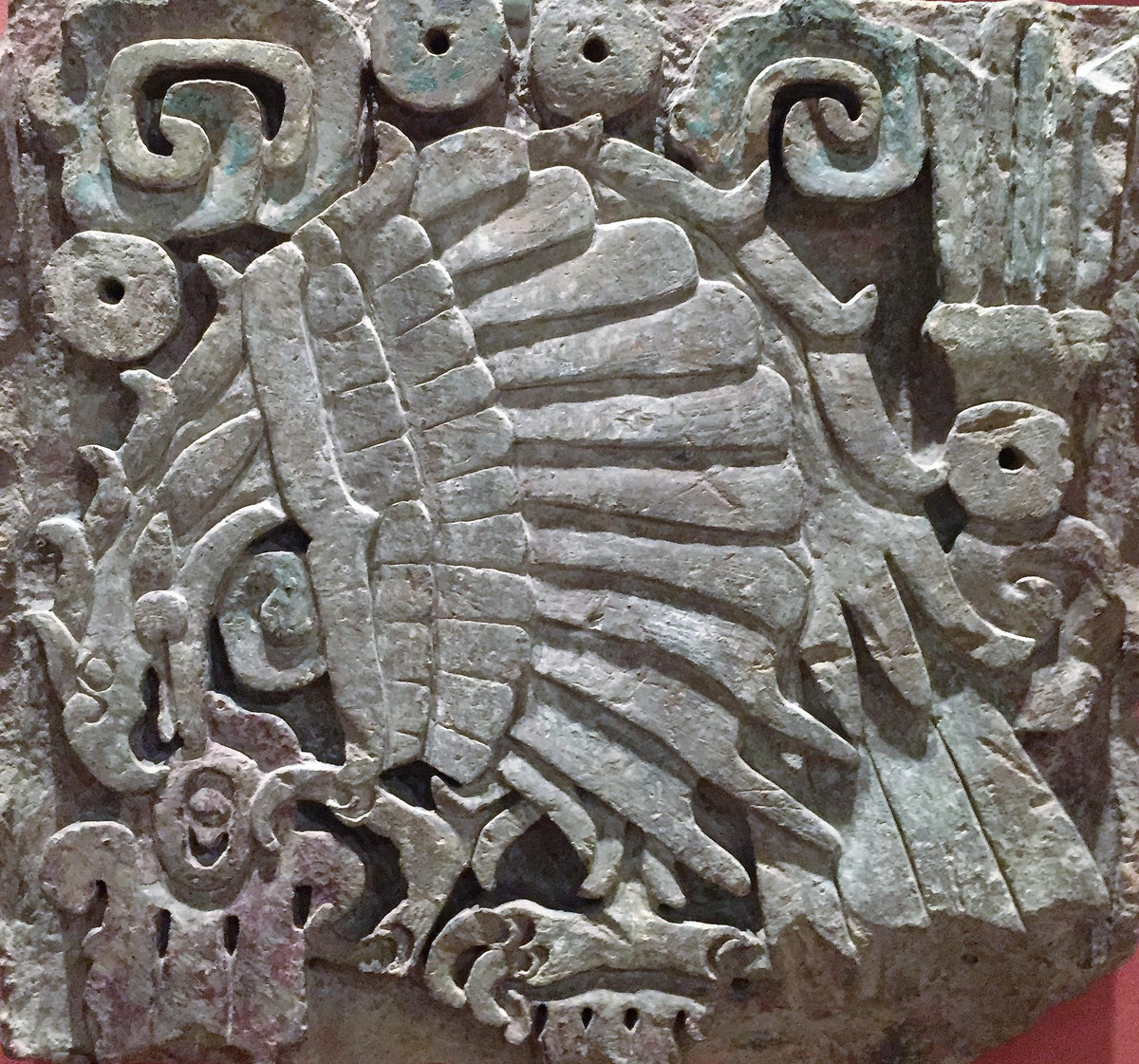 Cụ thể, một lời tiên tri cổ của người Aztec nói về việc kinh đô của họ sẽ là nơi xuất hiện một con chim đại bàng đậu trên cây xương rồng.