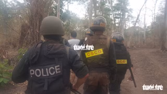 Dẫn giải Phượng râu ra khỏi rừng - Ảnh: A.X