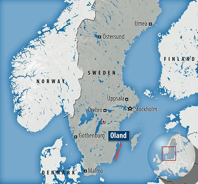 Tiến sĩ Papmehl-Dufay cho hay các chuyên gia sẽ tiến hành kiểm tra ADN để có được những thông tin về di truyền, tổ tiên của họ.