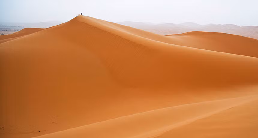 Sa mạc Sahara có tới 207.200 km2 ốc đảo (khoảng 2% diện tích).