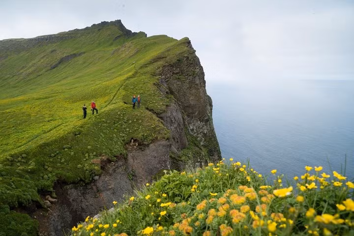 Khu bảo tồn thiên nhiên Hornstrandir, Iceland. Khu bảo tồn thiên nhiên Hornstrandir là một trong những bí mật được gìn giữ kĩ nhất của Iceland. Những vị khách du lịch trên tuyến đường vành đai thường không dám mạo hiểm đặt chân tới vùng Westfjords, vậy nên bạn sẽ được tận hưởng sự tĩnh mịch ở đây nhiều hơn bất kì địa điểm thu hút du khách nào ở “Cung Đường Vàng”.