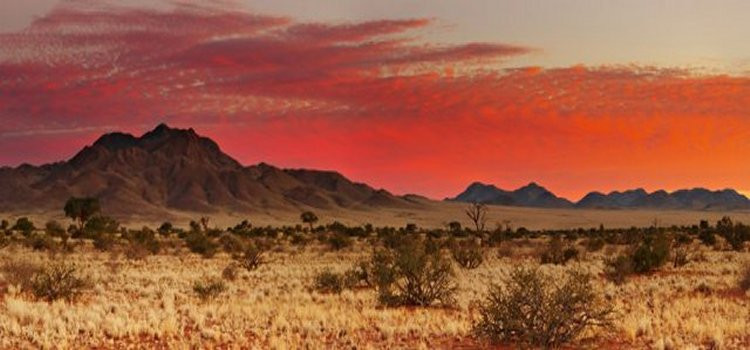 Một số ít khu vực của sa mạc Kalahari nhận được khoảng 250mm nước mưa hàng năm.