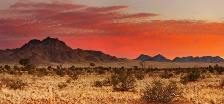 Một số ít khu vực của sa mạc Kalahari nhận được khoảng 250mm nước mưa hàng năm.