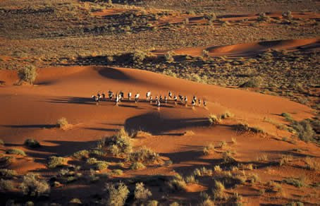 Tuy nhiên, một số chuyên gia tin rằng, ẩn mình dưới lớp cát sa mạc Kalahari là một thành phố cổ đã mất.