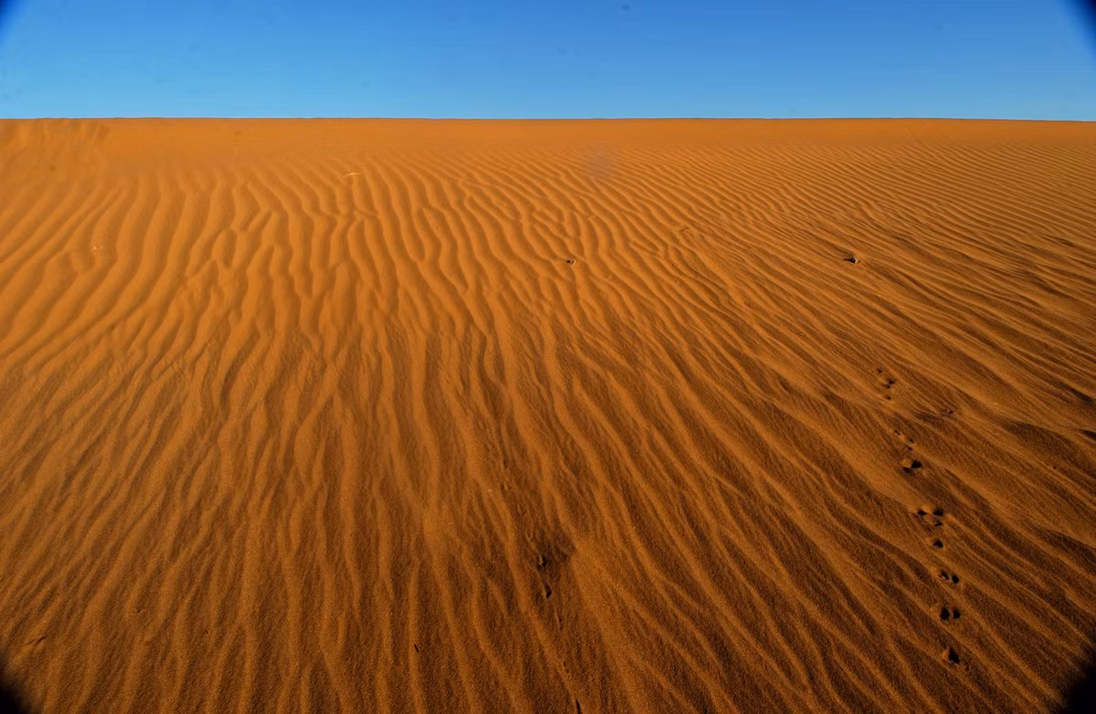 Sa mạc Sahara có hơn 20 hồ nước, chủ yếu là hồ nước mặn.