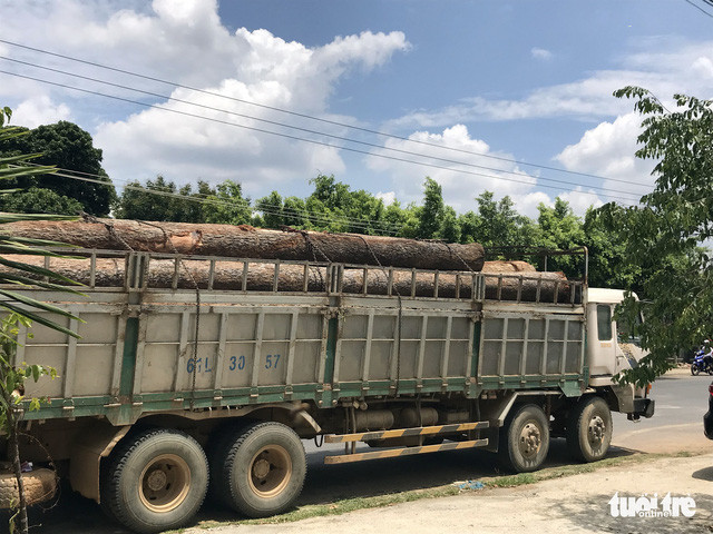 Một trong hai xe gỗ của Phượng "râu" bị Bộ Công an bắt giữ - Ảnh: TRUNG TÂN