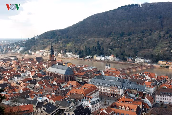 Việc xây dựng lại lâu đài cũng như thành phố bị trì hoãn và cho tới năm 1720, chính quyền thời đó đã quyết định dời đến Mannheim, nơi có một công trình kiến trúc Baroque lớn nhất của nước Đức.