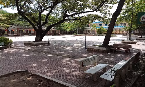 Trường THPT Long Thới, huyện Nhà Bè đã ra quyết định kỷ luật khiển trách đối với giáo viên chủ nhiệm em Phạm Song Toàn