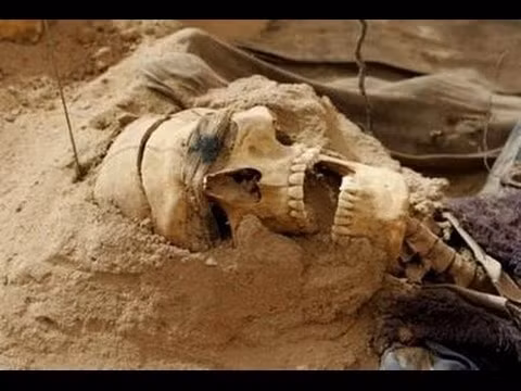 Đáng chú ý là vào năm 1940, người ta tìm thấy một hộp sọ khổng lồ ở Argedava, Romania. Hộp sọ này có kích thước lớn gấp 3 lần so với hộp sọ bình thường.