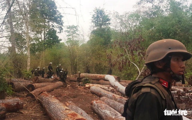 Phượng 'râu bị chặn bắt tại cửa rừng rạng sáng 27-4 - Ảnh: A.X