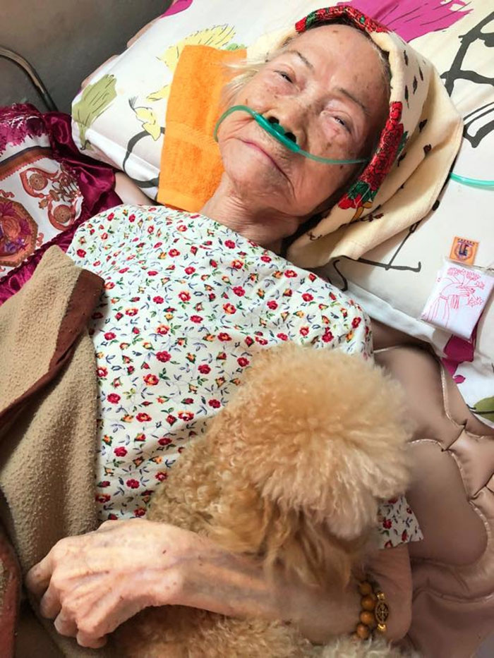 Hình ảnh chú chó cưng trung thành và ân cần bên ngoại khiến nhiều người xúc động.