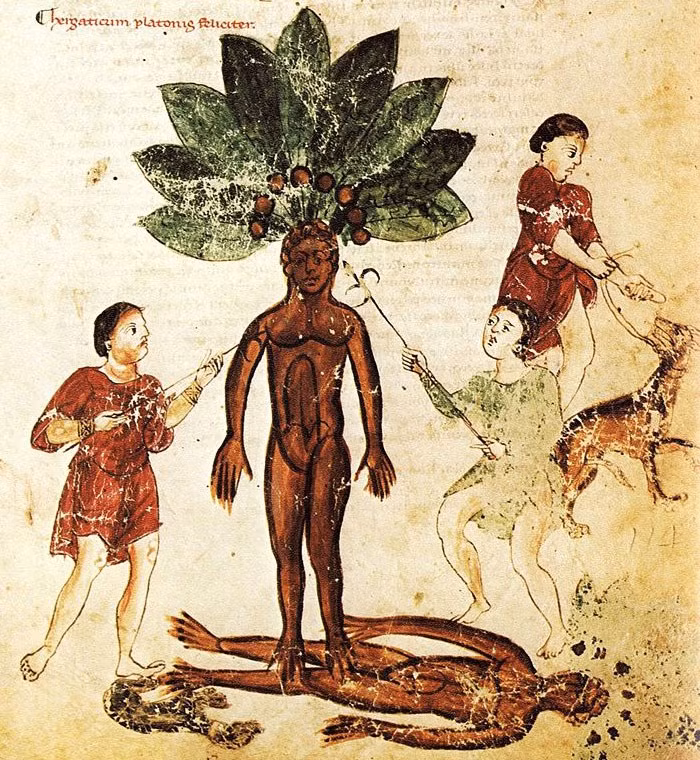 Nguyên do là vì người xưa quan niệm vật thể kỳ dị trên sẽ khiến bất cứ người nào mất mạng khi lấy và sử dụng nó.