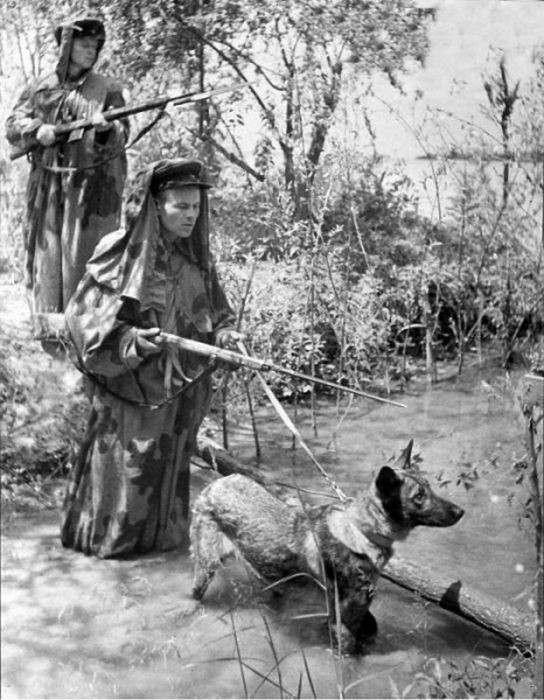 Lính Liên Xô làm nhiệm vụ tuần tra cùng với chó nghiệp vụ ở khu vực biên giới.