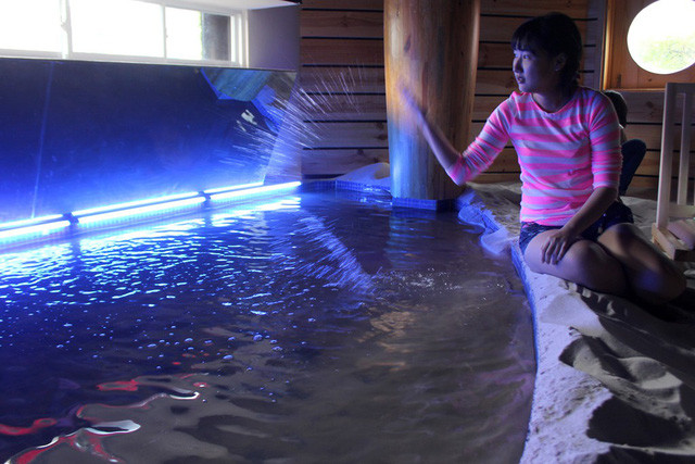 Ngoài đem cát biển về phố, quán còn xây cả một hồ nước có máy tạo những cơn sóng nhỏ. Âm nhạc của quán là tiếng sóng biển rì rào và tiếng chim hải âu . Những chiếc ghế tựa giúp khách hàng thoải mái như đang ngồi trên bãi biển.