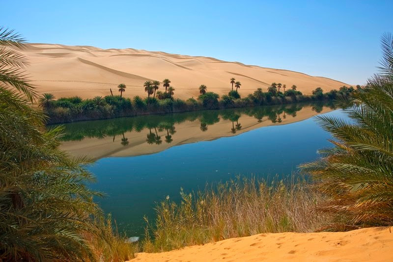 Một phần sa mạc Sahara khá màu mỡ nhờ những cơn lũ từ sông Nile.
