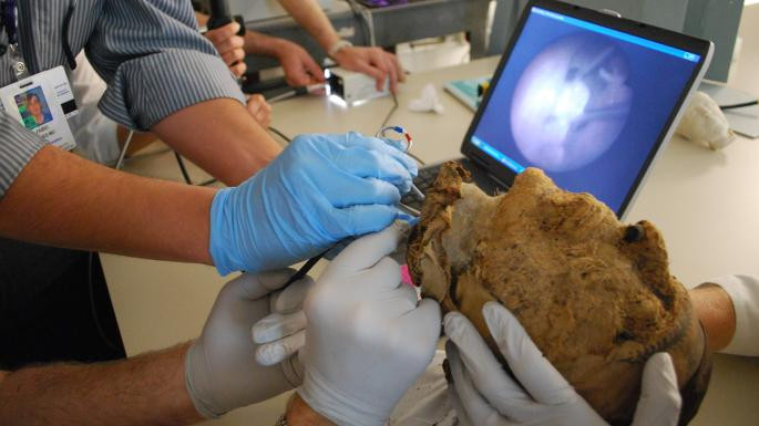 Ngoài xác ướp, nhiều hiện vật hàng ngàn năm tuổi cũng được phát hiện trong lăng mộ như những bức tượng, các con thuyền bằng gỗ...