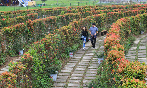 Me cung khong lo, hoa tam giac mach hut gioi tre thu do-Hinh-2