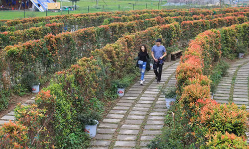 Me cung khong lo, hoa tam giac mach hut gioi tre thu do-Hinh-2