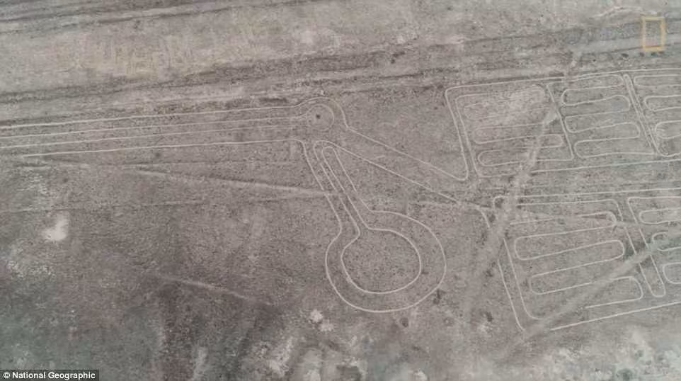 Những hình vẽ mới được phát hiện này cùng với các hình vẽ đã biết về các sinh vật như động vật, chim, côn trùng, cây cỏ và hoa, những đường thẳng, các hình dạng cơ bản như xoắn ốc, tam giác hay chữ nhật... được cho là sản phẩm của người Nazca cổ đại từ thế kỷ 1 đến thế kỷ 6 sau Công nguyên.