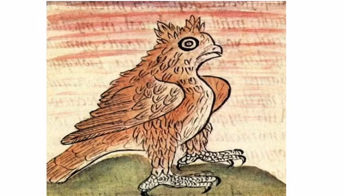 Người Aztec quan niệm chim cú là điềm báo của sự chết chóc, xui xẻo, tượng trưng cho quỷ dữ, thế lực hắc ám.