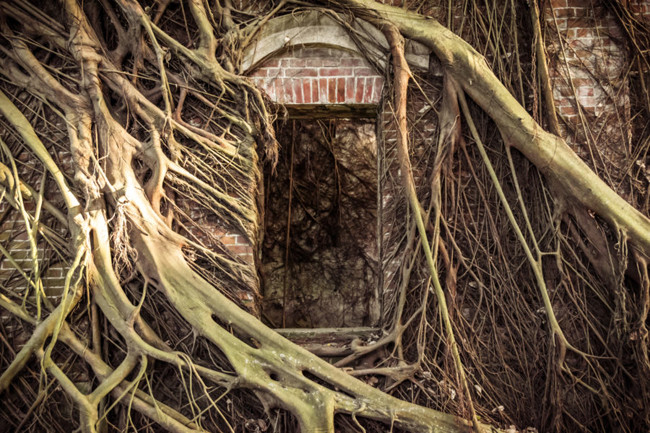 " Biệt thự ma" Dân Hùng là một trong những khu bỏ hoang nổi tiếng nhất Đài Loan. Nằm giữa vùng đồng quê thị trấn Dân Hùng, ngoại ô thành phố Gia Nghĩa. Tòa nhà gạch đỏ bề thế mang phong cách kiến trúc baroque thời kỳ Phục Hưng này nổi tiếng hơn với tên gọi Biệt thự ma nhà họ Lưu. Tòa nhà được xây dựng vào năm 1929 bởi Lưu Vinh Dục, một địa chủ và doanh nhân giàu có. Sau đó, biệt thự bị bỏ hoang vào đầu những năm 1950, không lâu sau khi chế độ thực dân Nhật Bản chấm dứt.