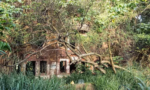 Biệt thự ma Dân Hùng ẩn mình giữa đồng bằng Gia Nam, nơi những cánh đồng lúa ngút ngàn trải rộng tới tận chân trời, chỉ rải rác những mái chòi lợp tôn lụp xụp. Không hiếm để bắt gặp di tích của những tòa nhà có sân vườn truyền thống của Đài Loan ở vùng đồng quê. Nhưng một biệt thự 3 tầng theo phong cách Tây Ban Nha gần như chưa từng có.