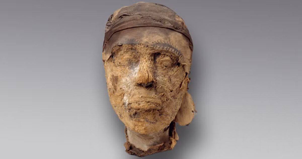 Sau một thời gian nghiên cứu, giới chuyên gia tìm ra ngôi mộ cổ trên thuộc về Djehutynakht - lãnh chúa ở Ai Cập thời cổ đại. Ông được chôn trong lăng mộ này cùng với vợ.