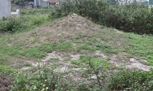 Mộ cụ Khải tổ Minh Đạo của họ Đàm.