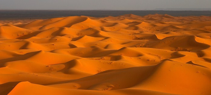Hồ Chad là hồ nước ngọt duy nhất ở sa mạc Sahara.