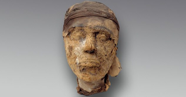 Theo kết quả nghiên cứu của FBI, chiếc đầu xác ướp là nam giới, do đó nó thuộc về thống đốc Djehutynakht.