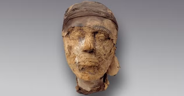 Theo kết quả nghiên cứu của FBI, chiếc đầu xác ướp là nam giới, do đó nó thuộc về thống đốc Djehutynakht.