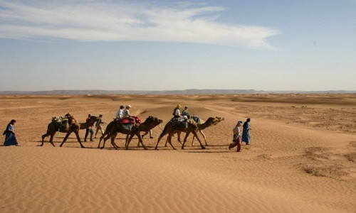 30% diện tích sa mạc Sahara là cát. Số còn lại là các đồng bằng sỏi, cao nguyên đá, thung lũng, đồng bằng muối, núi, sông, suối, ốc đảo...