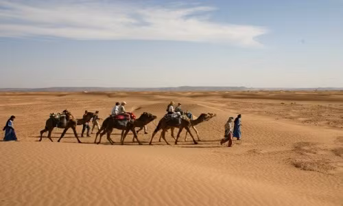 30% diện tích sa mạc Sahara là cát. Số còn lại là các đồng bằng sỏi, cao nguyên đá, thung lũng, đồng bằng muối, núi, sông, suối, ốc đảo...