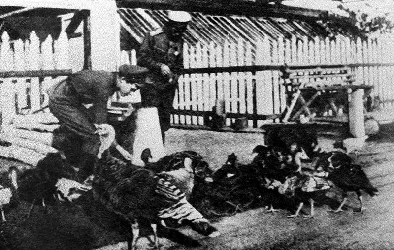 Một số binh sĩ làm nhiệm vụ đảm bảo an toàn cho Sa hoàng Nicholas II và gia đình hoàng gia Nga này.