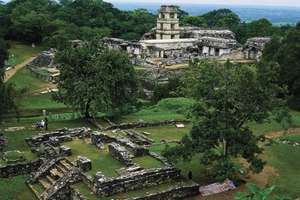 Được xây dựng vào thời kỳ cổ đại của Mexico (năm 400-500 sau công nguyên), Palenque nổi tiếng với nhiều đền đài, lăng mộ, những tác phẩm điêu khắc được chạm trổ vô cùng tinh tế, mang dấu ấn kiến trúc của người Maya. Mời quý độc giả xem video: Khai quật khảo cổ tại di tích Khu Gò Mộ, Đồng Tháp (nguồn: VTC14)