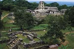 Được xây dựng vào thời kỳ cổ đại của Mexico (năm 400-500 sau công nguyên), Palenque nổi tiếng với nhiều đền đài, lăng mộ, những tác phẩm điêu khắc được chạm trổ vô cùng tinh tế, mang dấu ấn kiến trúc của người Maya. Mời quý độc giả xem video: Khai quật khảo cổ tại di tích Khu Gò Mộ, Đồng Tháp (nguồn: VTC14)